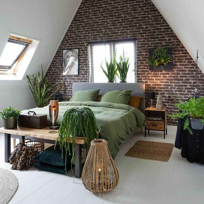 Today I Put Some New Plants In My Bedroom