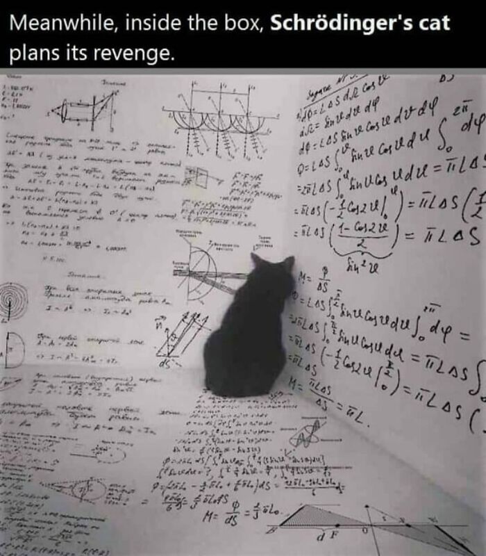 Schrödinger's cat meme: a black cat surrounded by physics equations, symbolizing quantum mechanics humor.