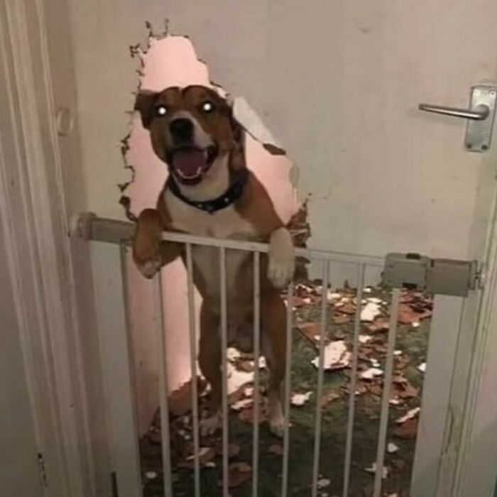 No-Context-Cursed-Pics