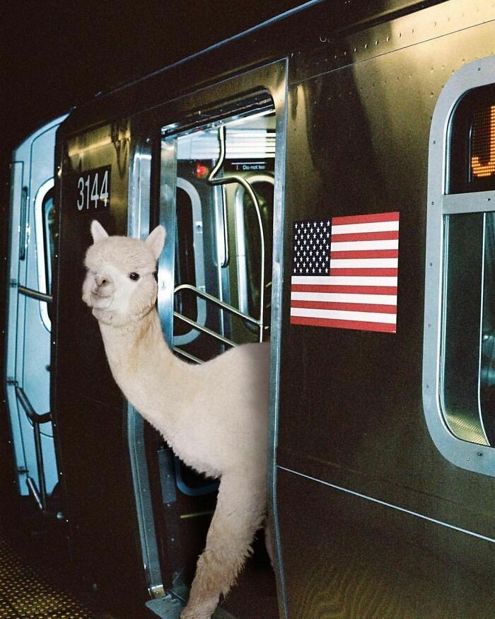 Interesting-Wrong-Pictures