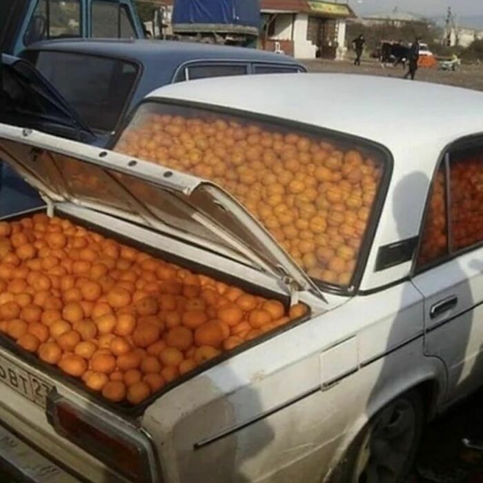 No-Context-Cursed-Pics