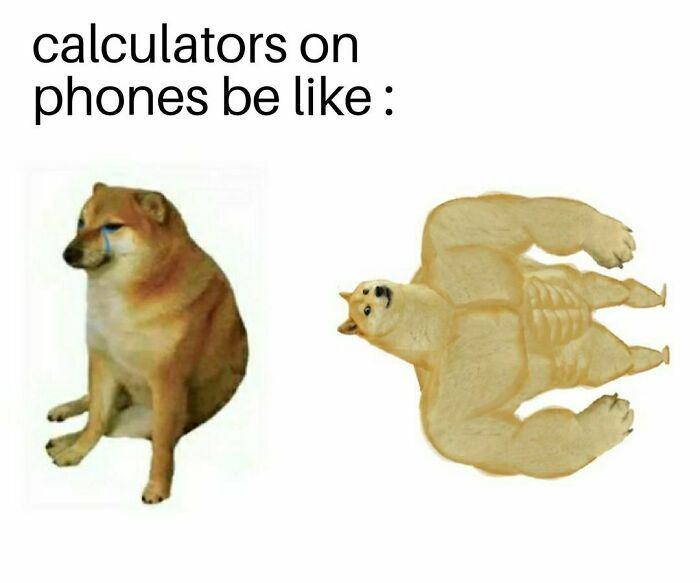 Sad doge and muscular doge meme humorously depicting phone calculator evolution in physics jokes.
