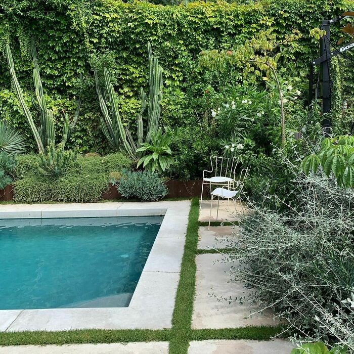 Backyard with stylish cactuses surrounding pool perimeter, creating chic outdoors with budget-friendly backyard ideas.