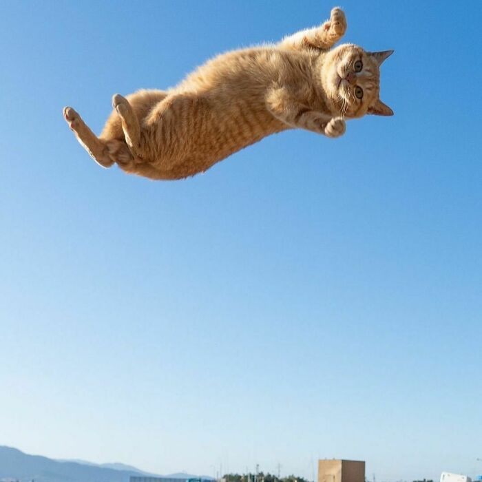 Interesting-Wrong-Pictures