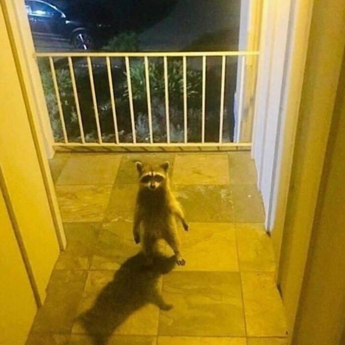 50 Of The Most Bizarre Pics That Got Posted On This No Context Instagram Page