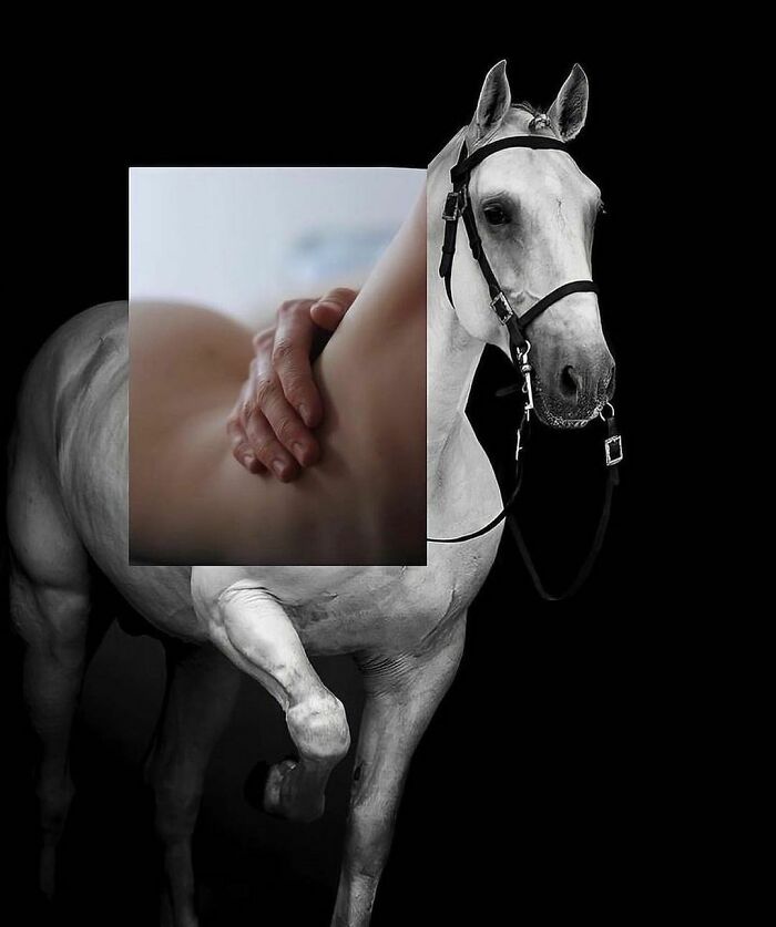 Interesting-Wrong-Pictures