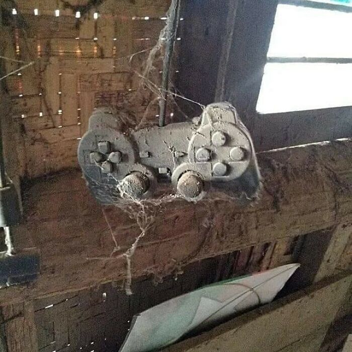 No-Context-Cursed-Pics