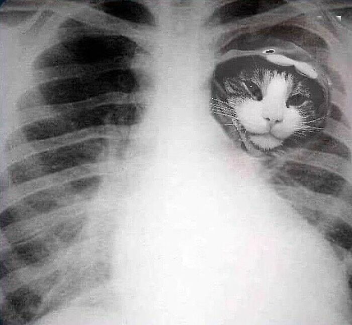 Interesting-Wrong-Pictures