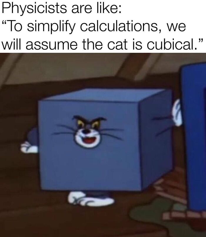Tom the cat depicted as a cube, humorously simplifying physics assumptions.