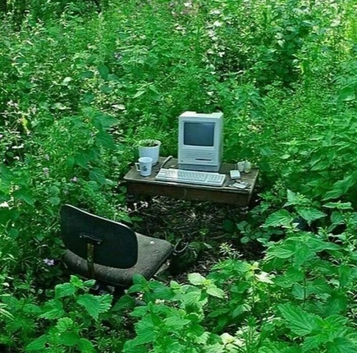 No-Context-Cursed-Pics