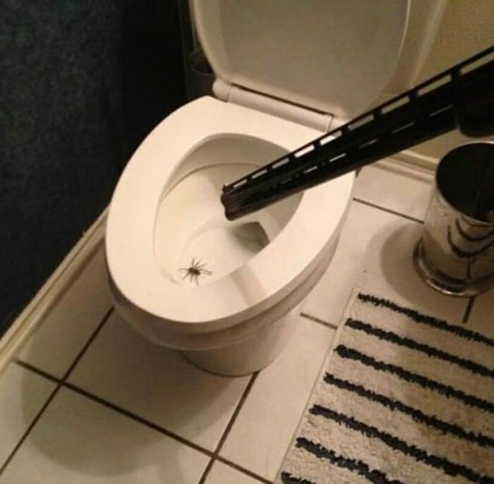 No-Context-Cursed-Pics