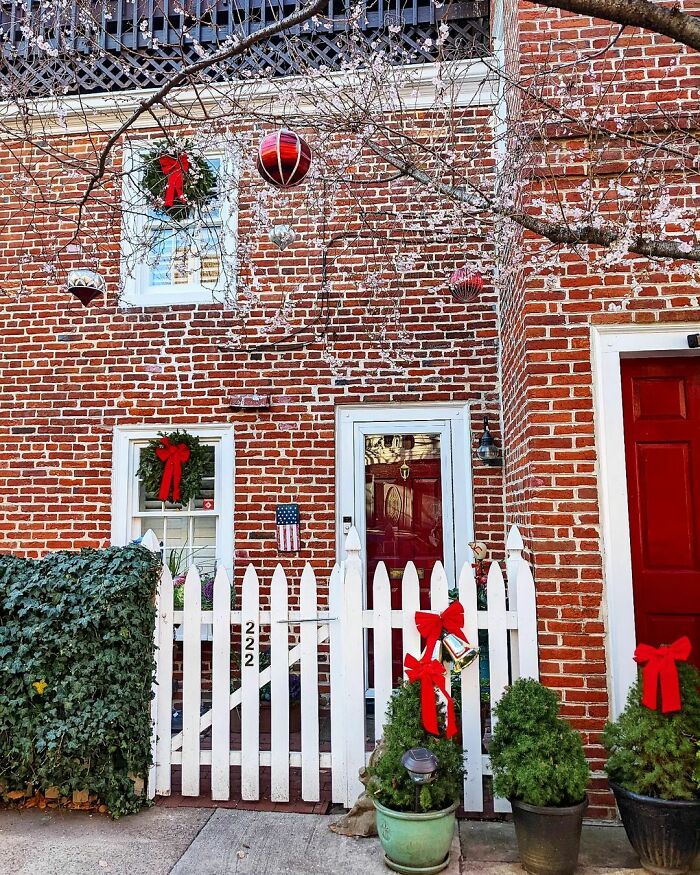 The Cherry Trees Are Confused