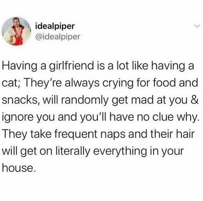 Funny-Posts-Memes-Jokes