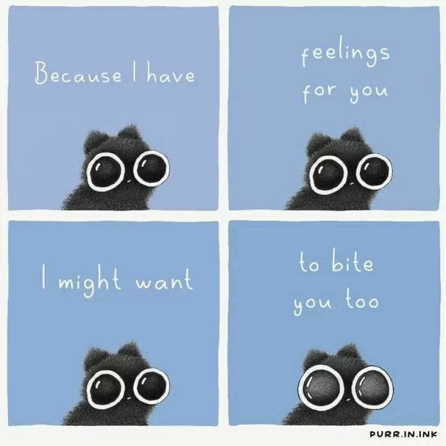 Comics In Which Cats Express Their Thoughts, Ideas And Doubts About Us (New Pics)