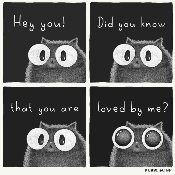 Illustration of a cat with large eyes in four panels saying you are loved, capturing the essence of cats perfectly.