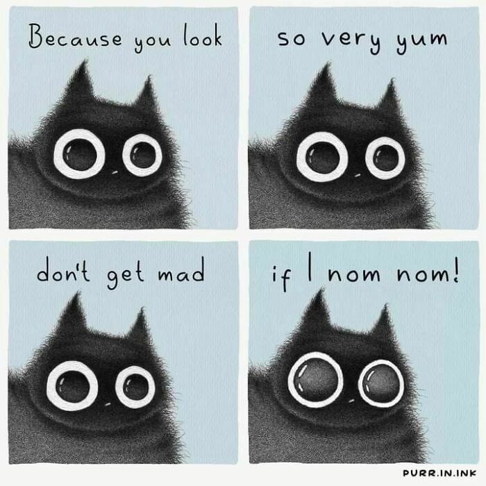 Illustrations capturing the essence of cats showing a black cat with large eyes and playful expressions in four panels.