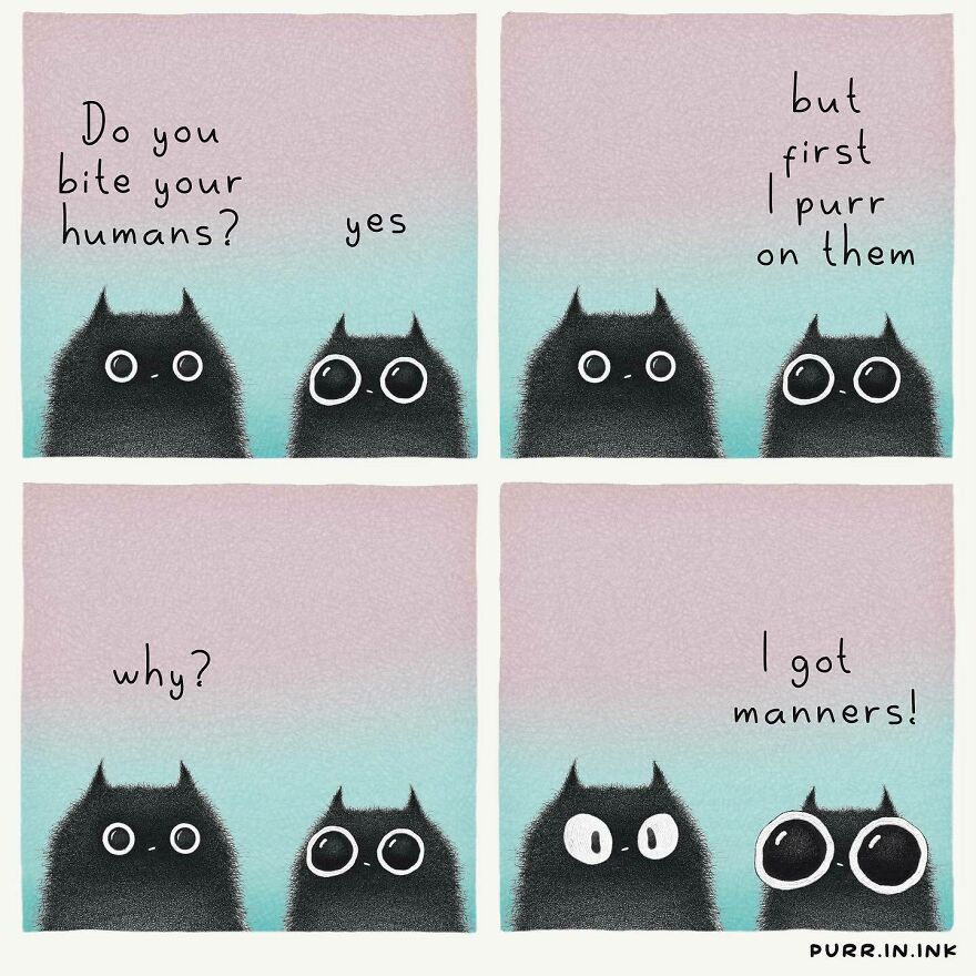 Comics In Which Cats Express Their Thoughts, Ideas And Doubts About Us (New Pics)