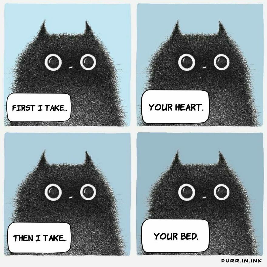 Comics In Which Cats Express Their Thoughts, Ideas And Doubts About Us (New Pics)