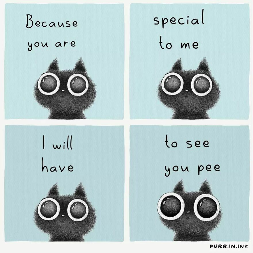 Comics In Which Cats Express Their Thoughts, Ideas And Doubts About Us (New Pics)