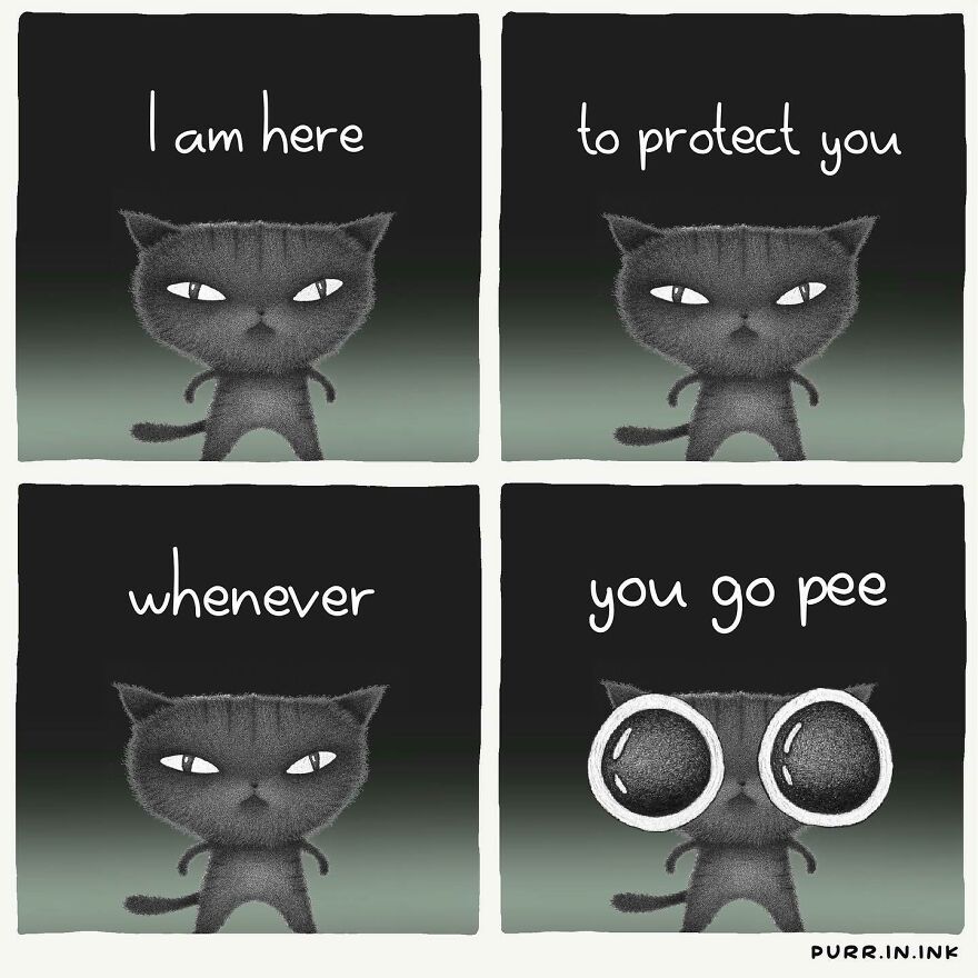 Comics In Which Cats Express Their Thoughts, Ideas And Doubts About Us (New Pics)