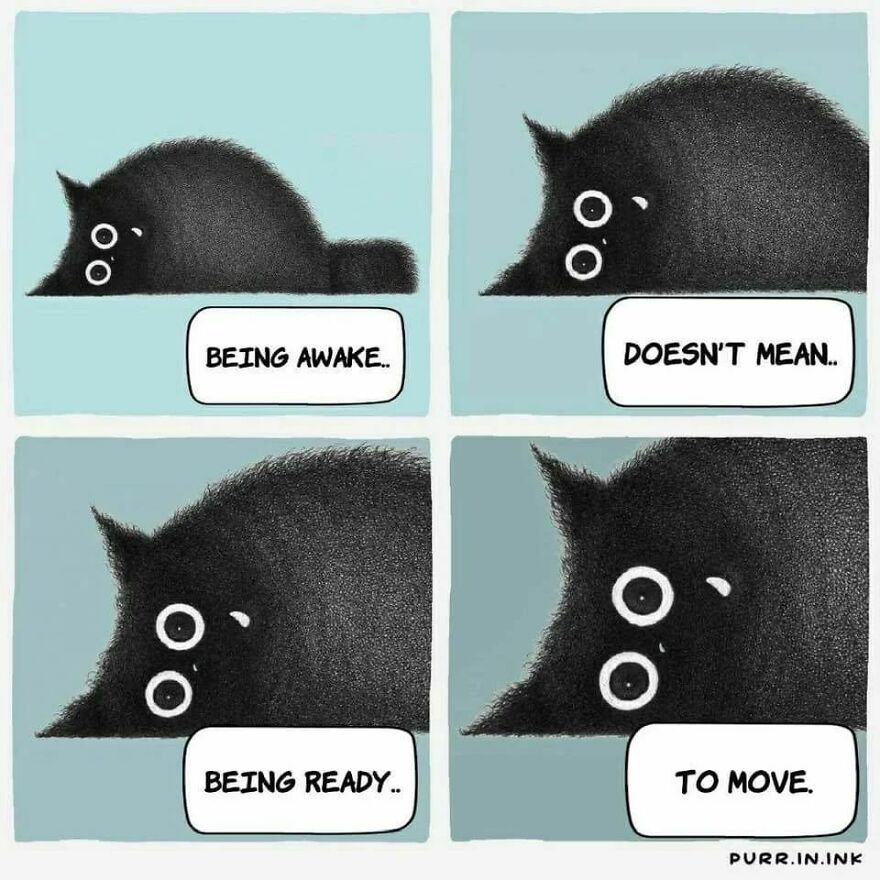 Comics In Which Cats Express Their Thoughts, Ideas And Doubts About Us (New Pics)