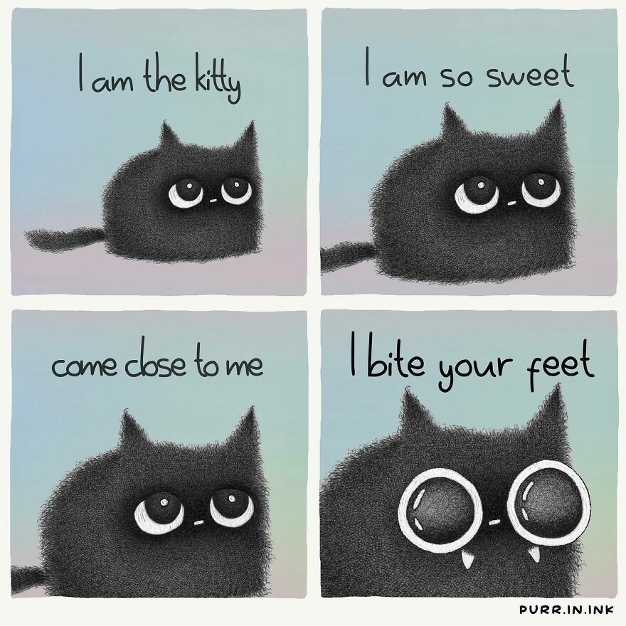Comics In Which Cats Express Their Thoughts, Ideas And Doubts About Us (New Pics)