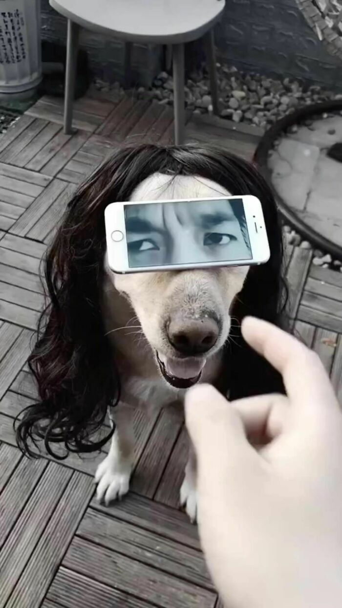 Interesting-Wrong-Pictures