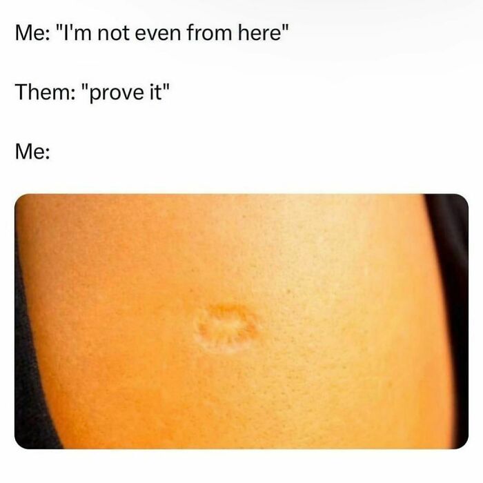 Funny-Posts-Memes-Jokes