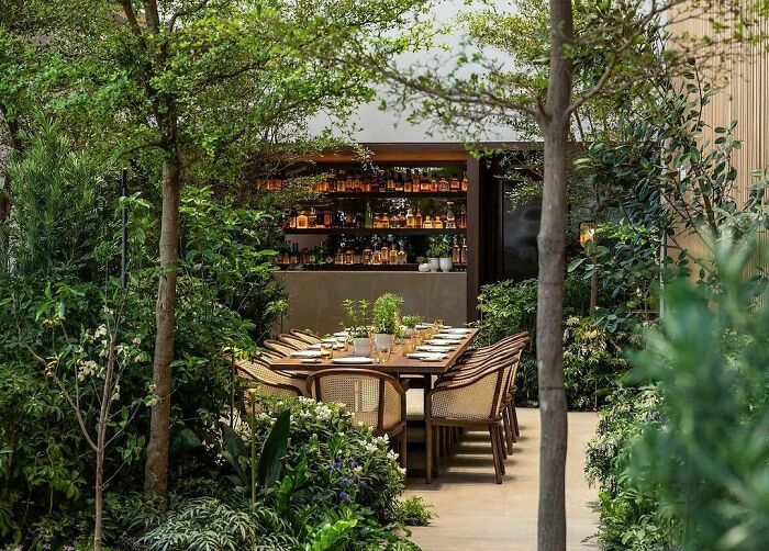 Green backyard dining nook featuring a wooden table, rattan chairs, and a stylish outdoor bar surrounded by lush plants.