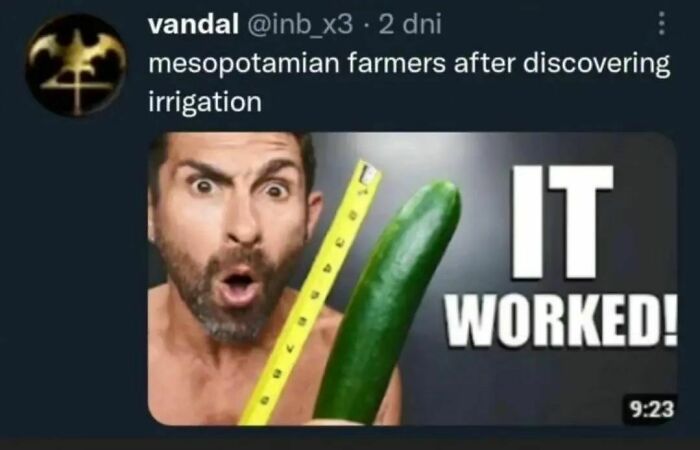 History-Memes-Daily-Historian