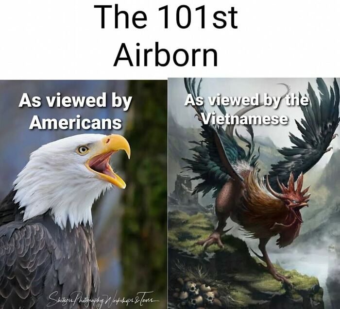 History-Memes-Daily-Historian