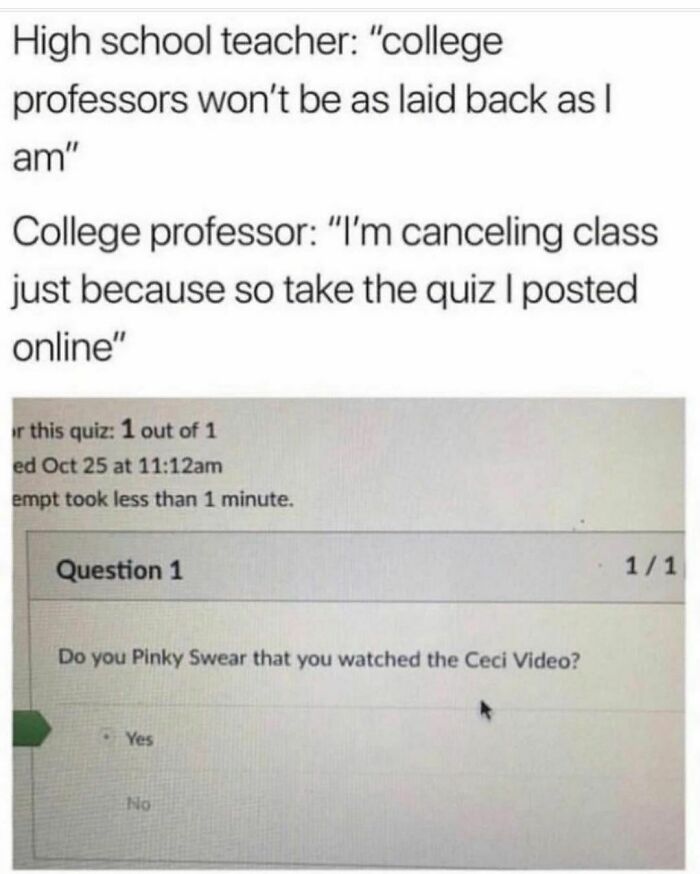 Really-Dumb-Funny-Tweets