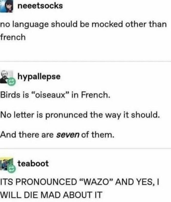 Really-Dumb-Funny-Tweets