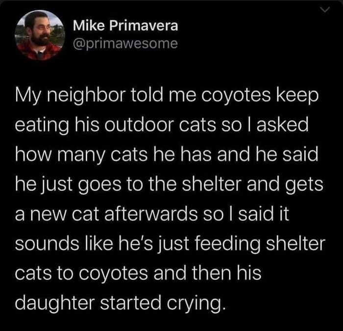 Really-Dumb-Funny-Tweets