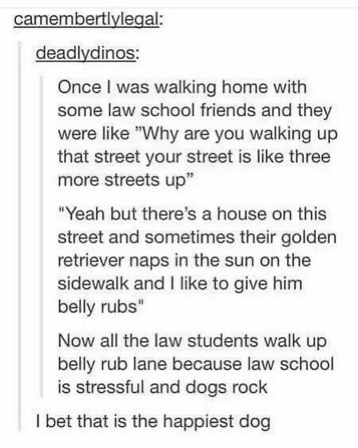 Really-Dumb-Funny-Tweets