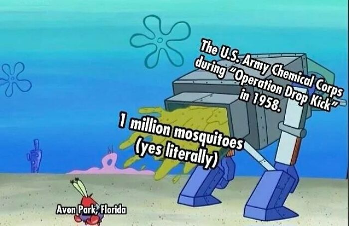 History-Memes-Daily-Historian