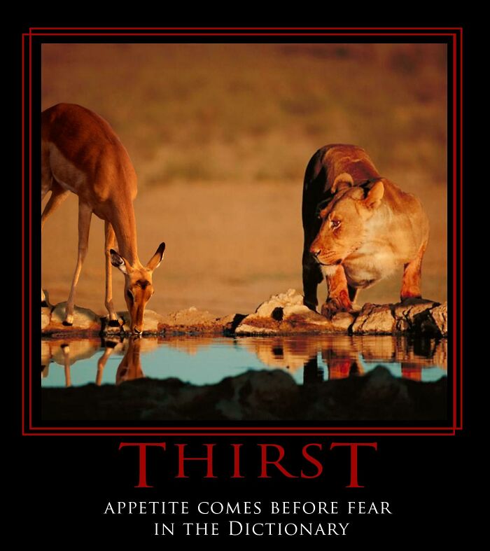 Designers Are Challenged To Create Demotivational Posters And Here Are The "Worst"