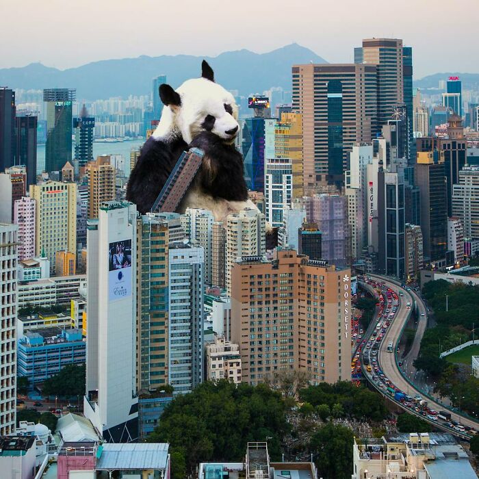 Digital Artist Shows What Hong Kong Would Be Like If Giant Animals Invaded It (34 Pics)