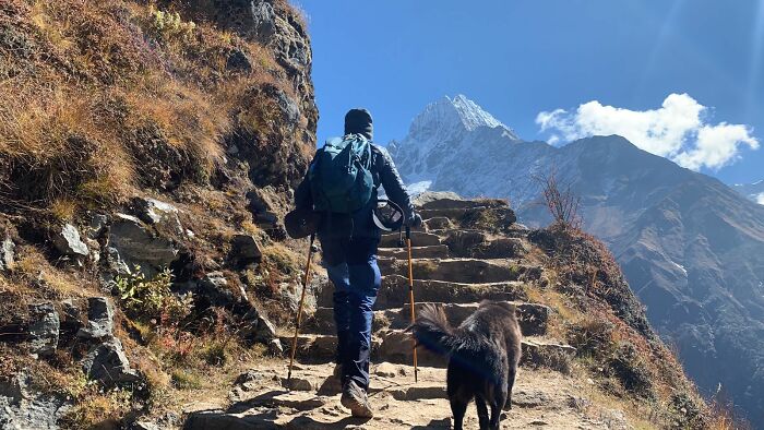 12 Days To Everest: Trekking With A Furry Friend 12 Days To Everest: Trekking With A Furry Friend