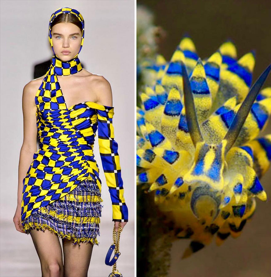 Fashion Often Draws Inspiration From Nature And This Instagram Account Proves It (28 New Pics )