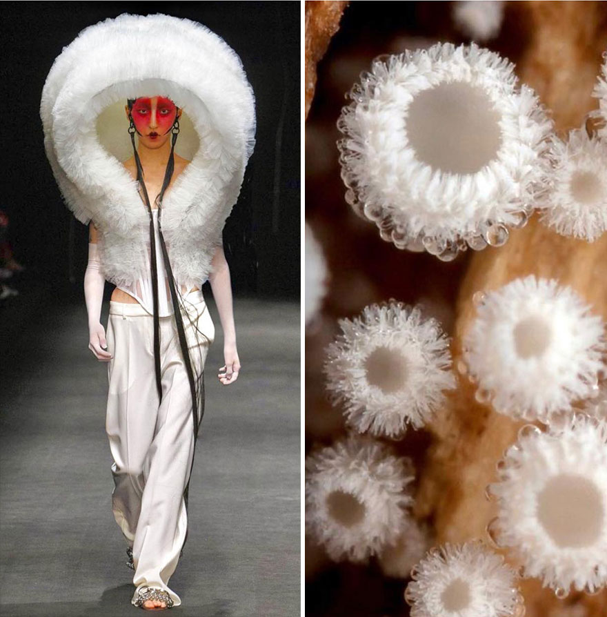Fashion Often Draws Inspiration From Nature And This Instagram Account Proves It (28 New Pics )
