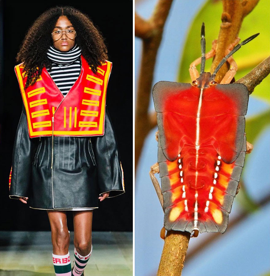 Fashion Often Draws Inspiration From Nature And This Instagram Account Proves It (28 New Pics )