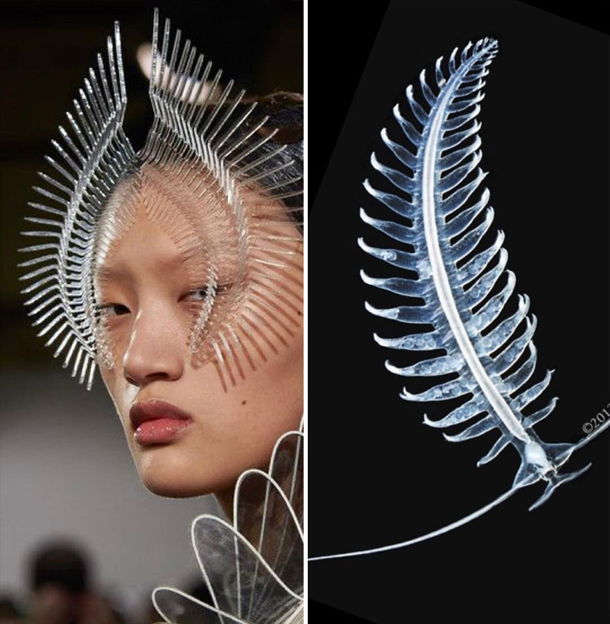 Fashion Often Draws Inspiration From Nature And This Instagram Account Proves It (28 New Pics )