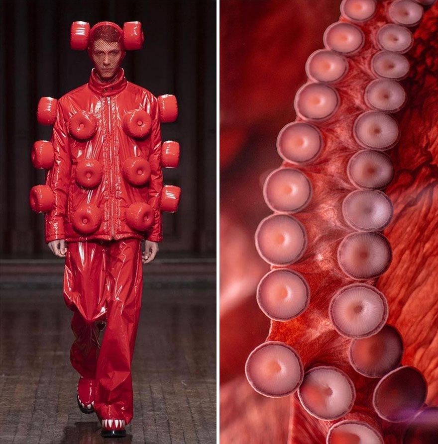 Fashion Often Draws Inspiration From Nature And This Instagram Account Proves It (28 New Pics )