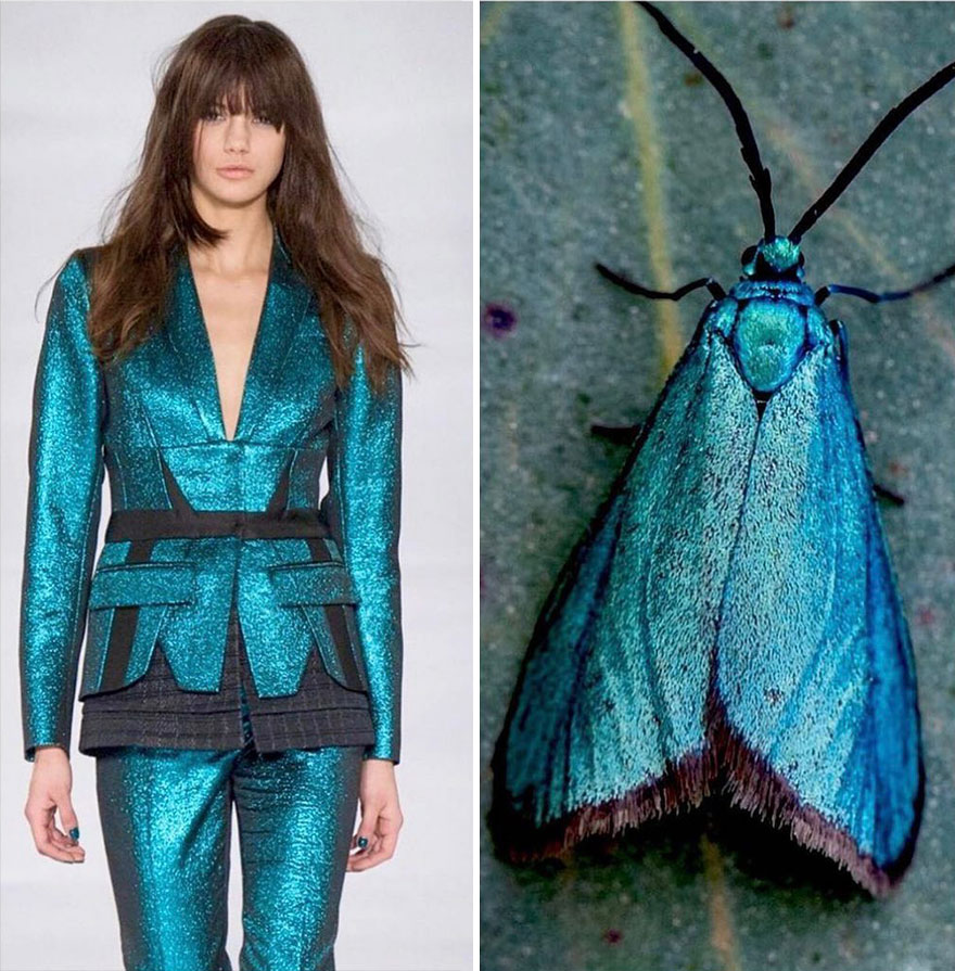 Fashion Often Draws Inspiration From Nature And This Instagram Account Proves It (28 New Pics )