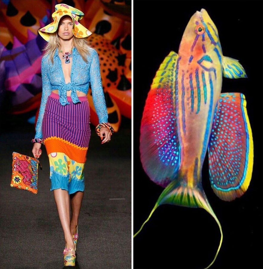 Fashion Often Draws Inspiration From Nature And This Instagram Account Proves It (28 New Pics )