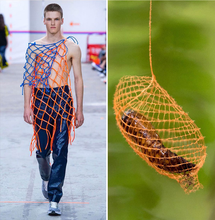 Fashion Often Draws Inspiration From Nature And This Instagram Account Proves It (28 New Pics )