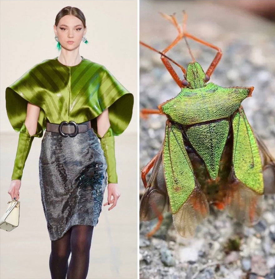 Fashion Often Draws Inspiration From Nature And This Instagram Account Proves It (28 New Pics )