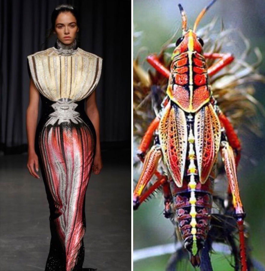 Fashion Often Draws Inspiration From Nature And This Instagram Account Proves It (28 New Pics )