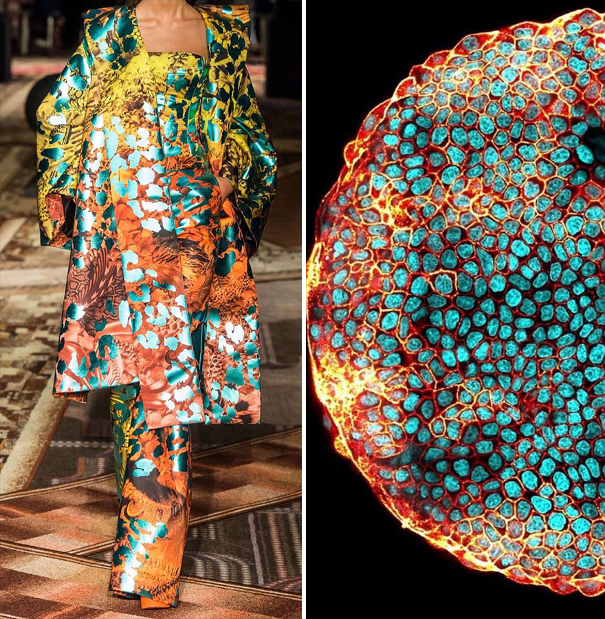 Fashion Often Draws Inspiration From Nature And This Instagram Account Proves It (28 New Pics )